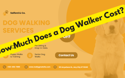 Pricing Your Services: Dog Walking Fees Guide
