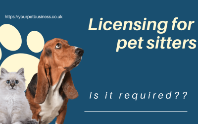 Licensing for Pet Sitters: Do You Need One?